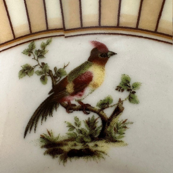 Burton & Burton Birds of Beauty Porcelain Tea Cup & Saucer Bird Center, Geo Rim - Picture 9 of 16